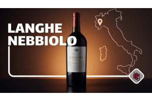 Langhe Nebbiolo: Die jüngere Geschwister des Barolo