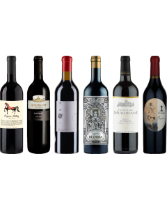 Georgien Saperavi Premium Verkostungsset