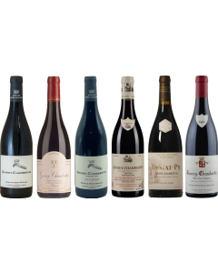 Gevrey Chambertin Verkostungsset