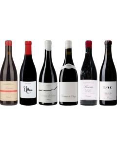 Mencia Premium Verkostungsset
