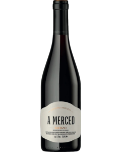 Michelini i Mufatto A Merced 2021