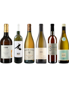 Orange Wein Premium Verkostungsset