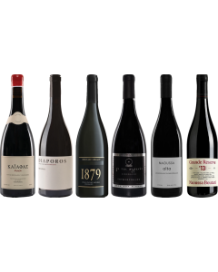 Xinomavro Premium Verkostungsset