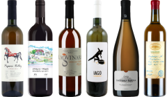 Georgien Orange Amber Wein Premium Verkostungsset