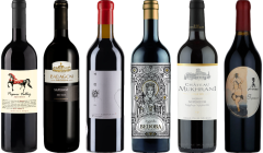 Georgien Saperavi Premium Verkostungsset