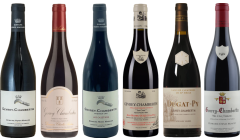 Gevrey Chambertin Verkostungsset