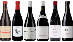 Mencia Premium Verkostungsset