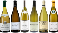 Meursault Verkostungsset
