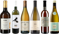 Orange Wein Premium Verkostungsset