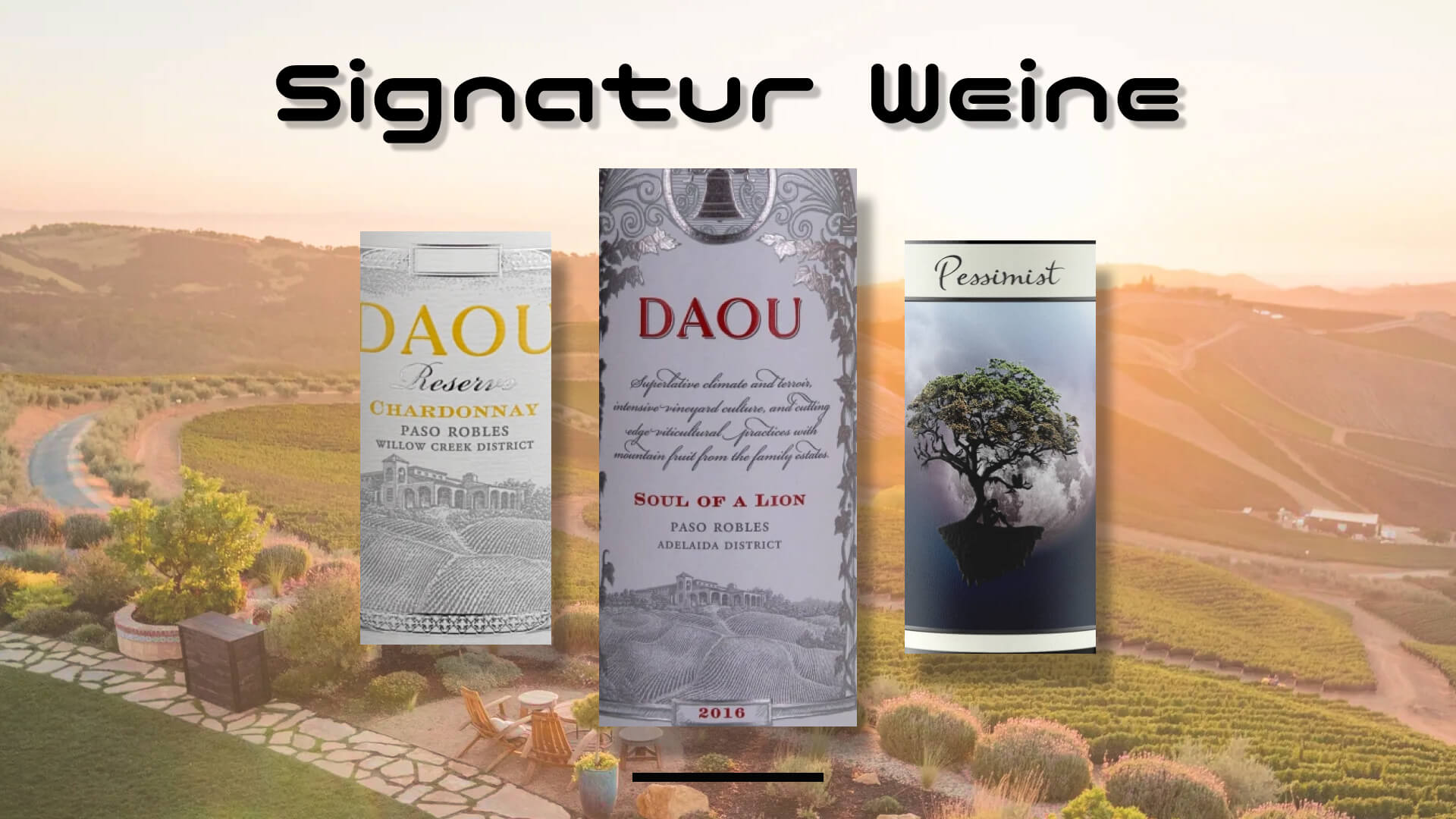 Signatur Weine